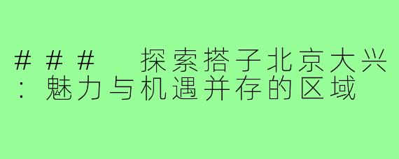### 探索搭子北京大兴:魅力与机遇并存的区域