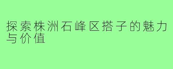 探索株洲石峰区搭子的魅力与价值
