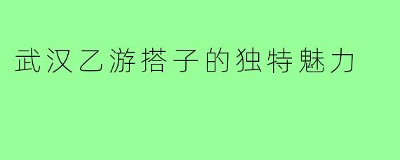 武汉乙游搭子的独特魅力