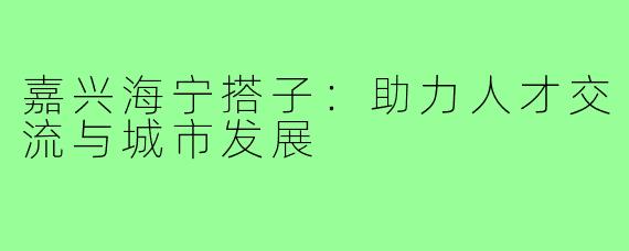 嘉兴海宁搭子:助力人才交流与城市发展