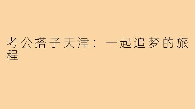 考公搭子天津:一起追梦的旅程