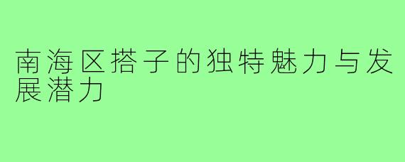 南海区搭子的独特魅力与发展潜力
