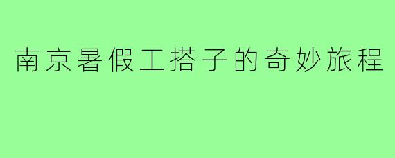 南京暑假工搭子的奇妙旅程