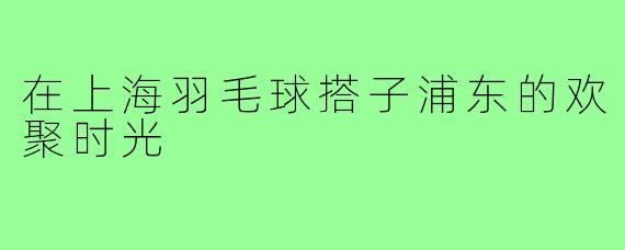 在上海羽毛球搭子浦东的欢聚时光