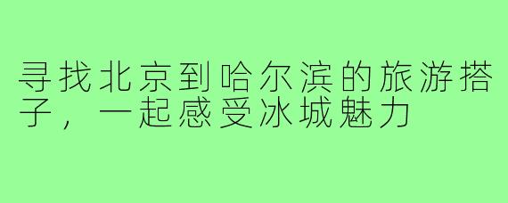 寻找北京到哈尔滨的旅游搭子，一起感受冰城魅力