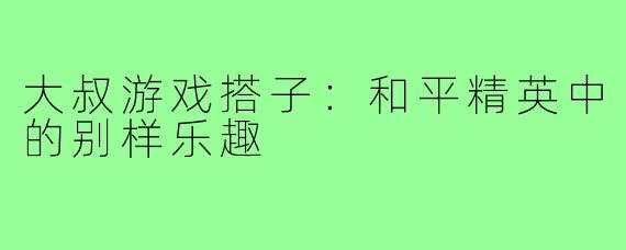 大叔游戏搭子:和平精英中的别样乐趣