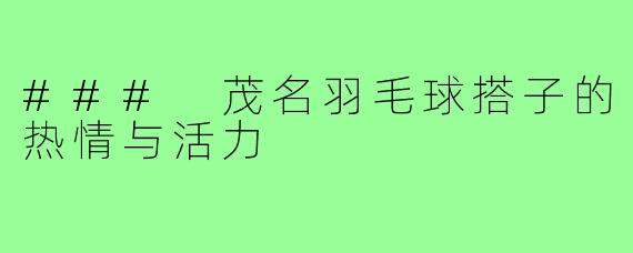 ### 茂名羽毛球搭子的热情与活力