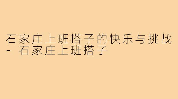 石家庄上班搭子的快乐与挑战