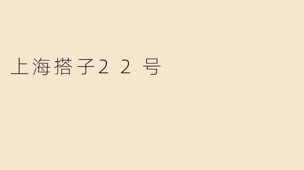 上海搭子22号
