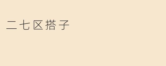二七区搭子