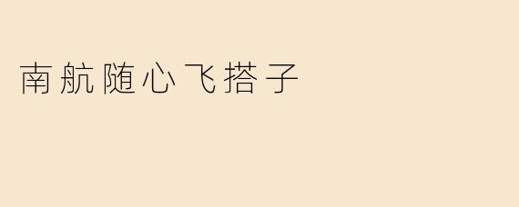 南航随心飞搭子