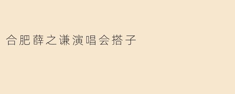 合肥薛之谦演唱会搭子