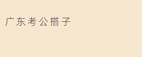 广东考公搭子