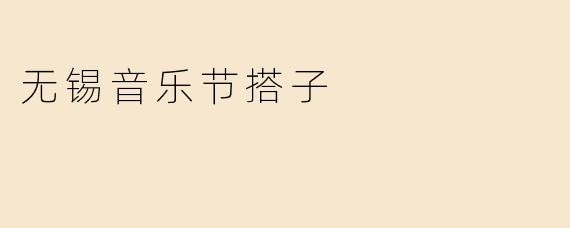 无锡音乐节搭子