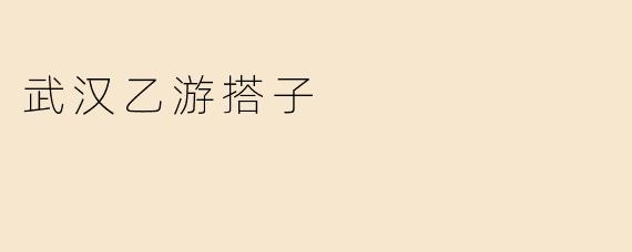 武汉乙游搭子
