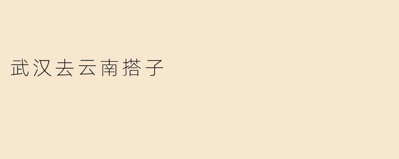 武汉去云南搭子