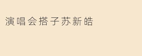 演唱会搭子苏新皓