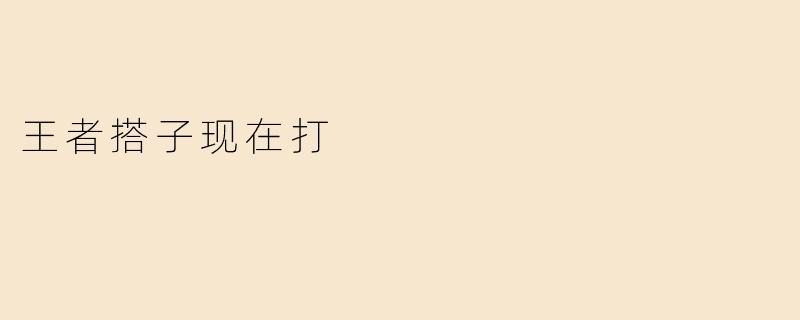 王者搭子现在打