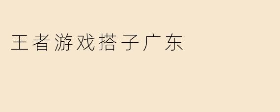王者游戏搭子广东