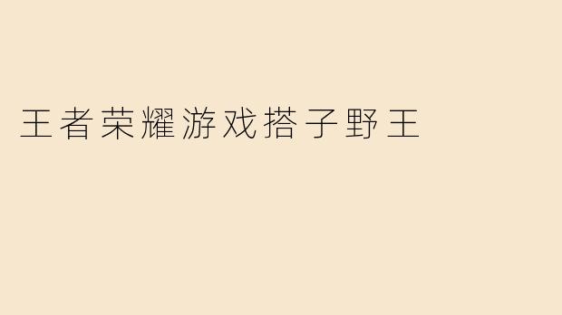 王者荣耀游戏搭子野王