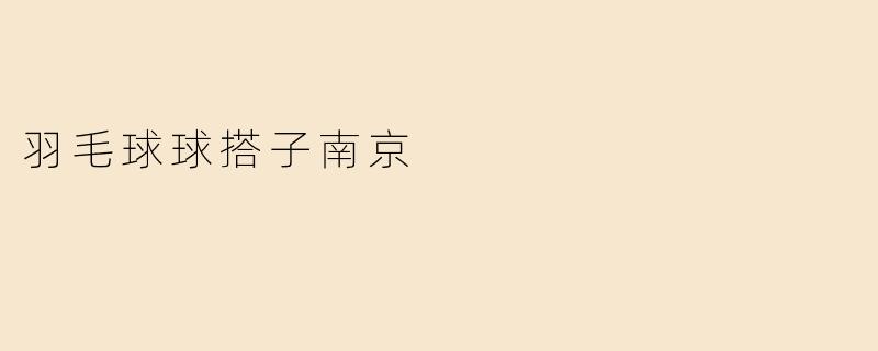 羽毛球球搭子南京