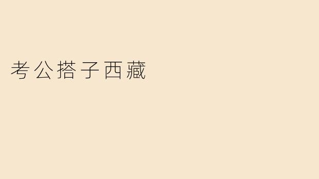 考公搭子西藏