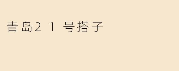 青岛21号搭子
