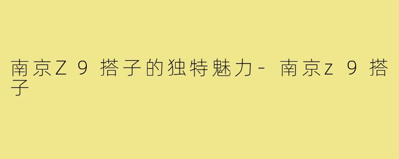 南京Z9搭子的独特魅力-南京z9搭子