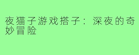 夜猫子游戏搭子:深夜的奇妙冒险