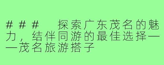 ### 探索广东茂名的魅力，结伴同游的最佳选择——茂名旅游搭子