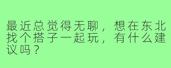 最近总觉得无聊,想在东北找个搭子一起玩,有什么建议吗?