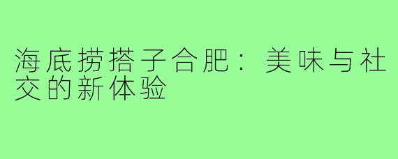海底捞搭子合肥:美味与社交的新体验