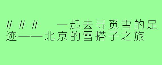 ### 一起去寻觅雪的足迹——北京的雪搭子之旅