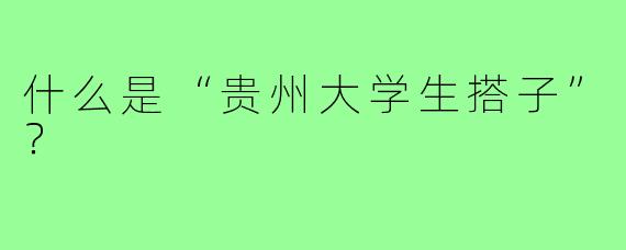 什么是“贵州大学生搭子”?