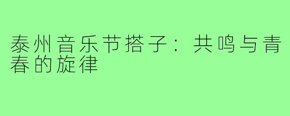 泰州音乐节搭子:共鸣与青春的旋律