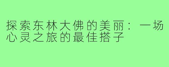 探索东林大佛的美丽：一场心灵之旅的最佳搭子