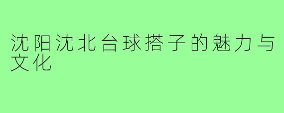 沈阳沈北台球搭子的魅力与文化