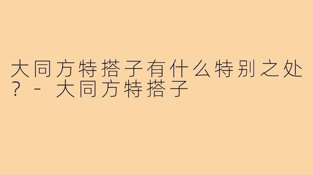 大同方特搭子有什么特别之处？