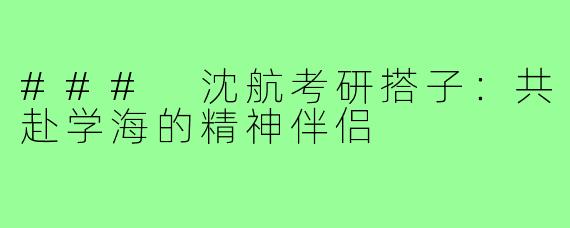### 沈航考研搭子:共赴学海的精神伴侣