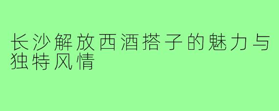 长沙解放西酒搭子的魅力与独特风情