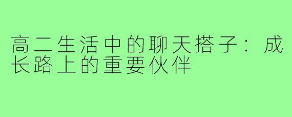 高二生活中的聊天搭子:成长路上的重要伙伴