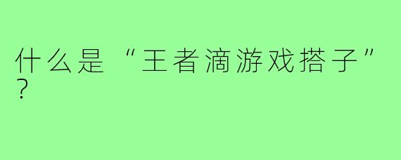 什么是“王者滴游戏搭子”？  