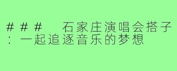 ### 石家庄演唱会搭子:一起追逐音乐的梦想