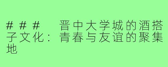 ### 晋中大学城的酒搭子文化:青春与友谊的聚集地