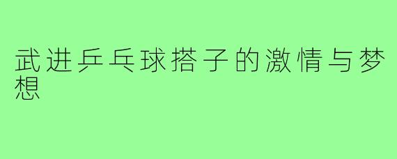 武进乒乓球搭子的激情与梦想