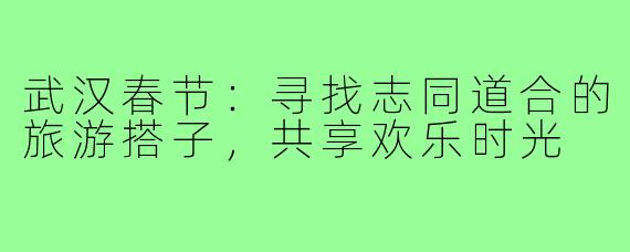 武汉春节:寻找志同道合的旅游搭子,共享欢乐时光