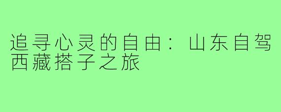 追寻心灵的自由:山东自驾西藏搭子之旅