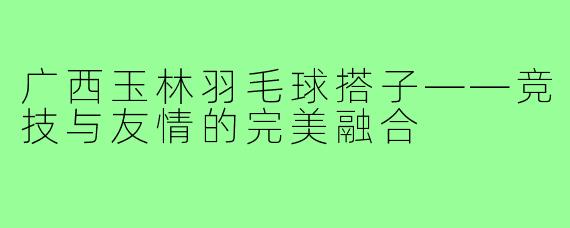广西玉林羽毛球搭子——竞技与友情的完美融合
