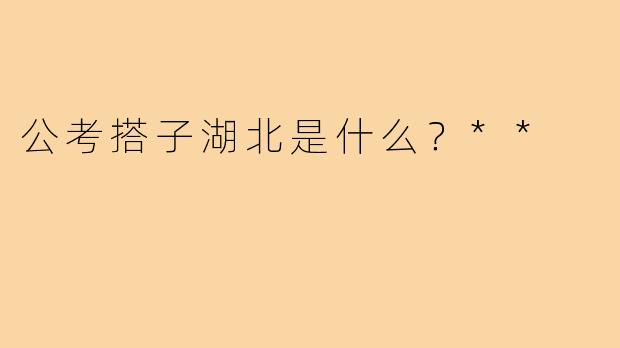 公考搭子湖北是什么？**
