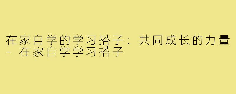 在家自学的学习搭子：共同成长的力量